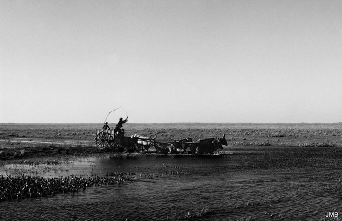 AÑO 1975 - BLANCO Y NEGRO - VIDA CAMPESINA EN PARAGUAY (JOSÉ MARÍA BLANCH)